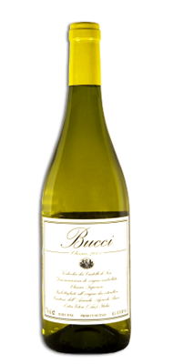 Italie Bucci