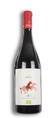 italie nero di troia cavallo alto