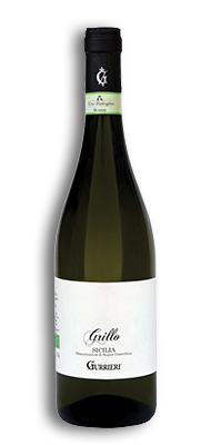 italie gurrieri grillo