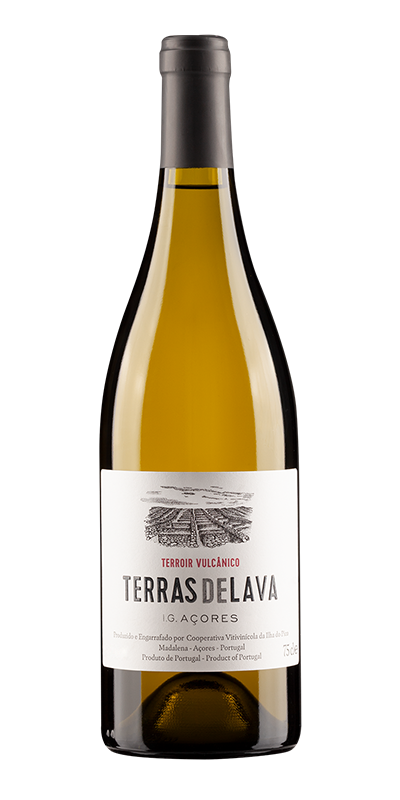 terroir vulcanico terrasdelava branco