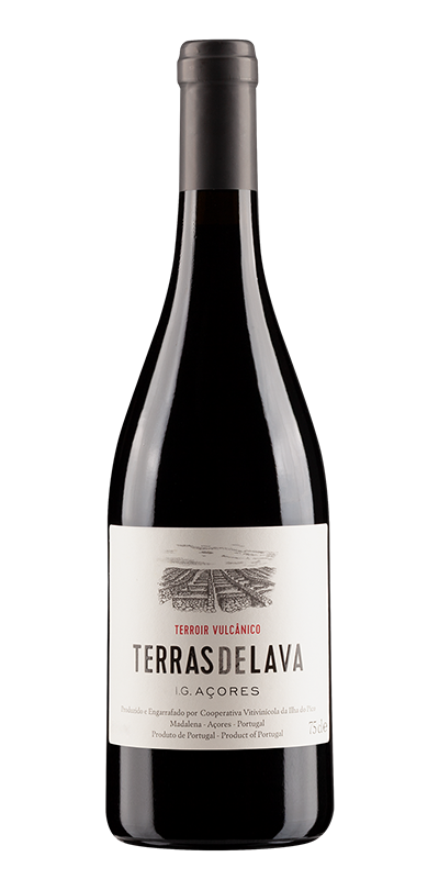 terroir vulcanico terrasdelava tinto